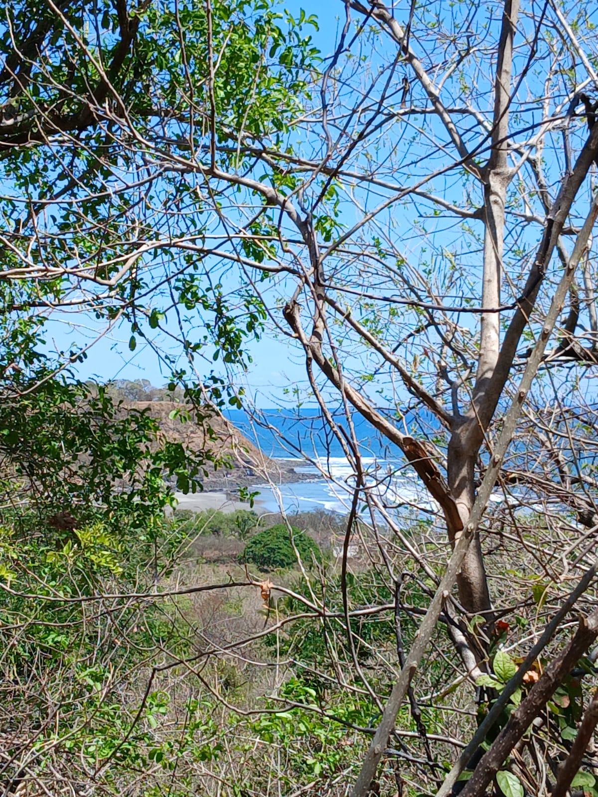OCEANVIEW LAND AT PUNTA MANGO SURF CITY 2 "EL BONGO"