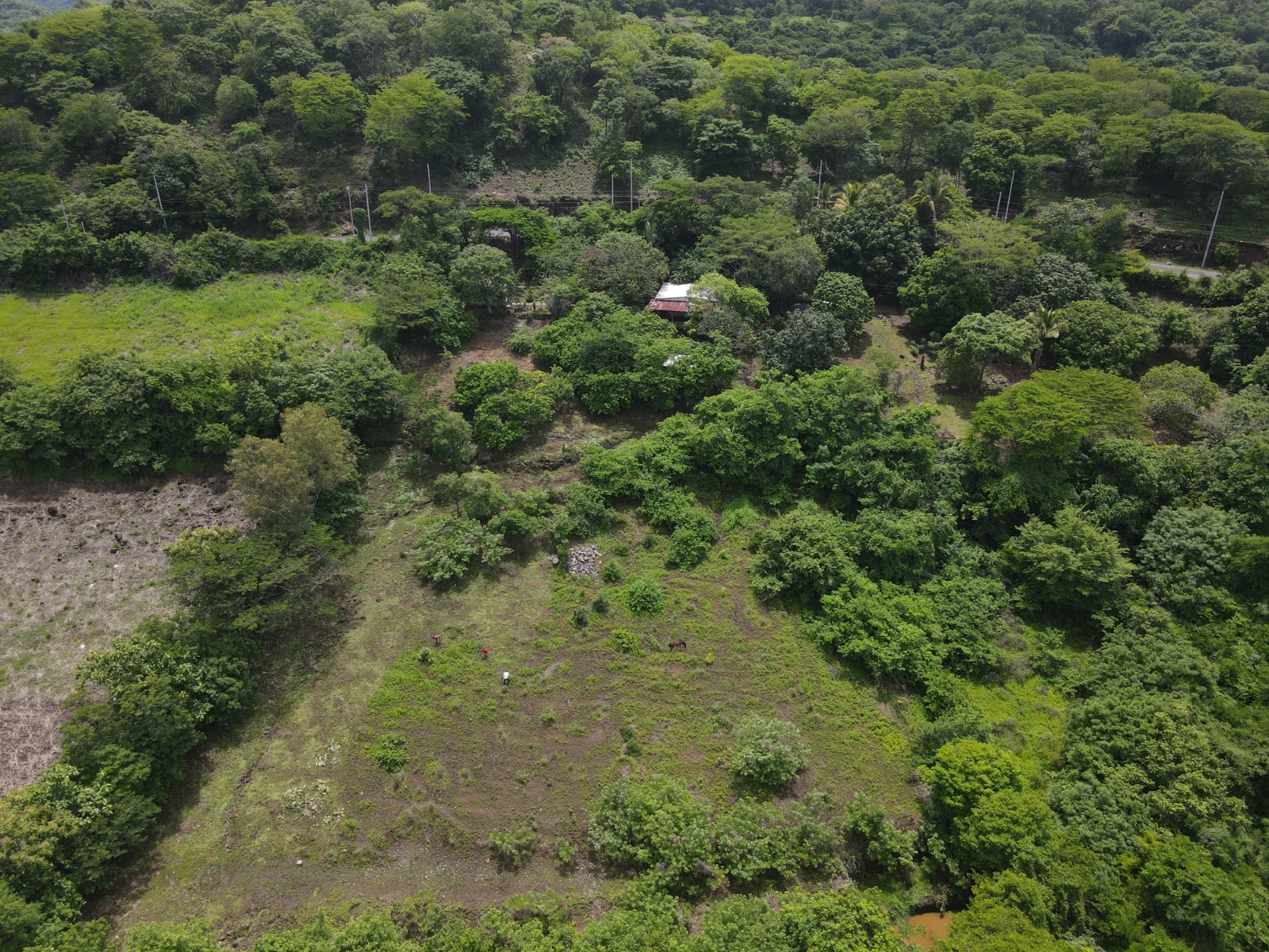 4 Oceanview Lots close to El Tunco
