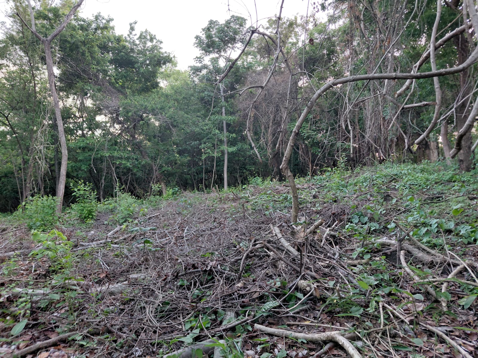 LAND AT PUNTA MANGO SURF CITY2 CARRIZAL