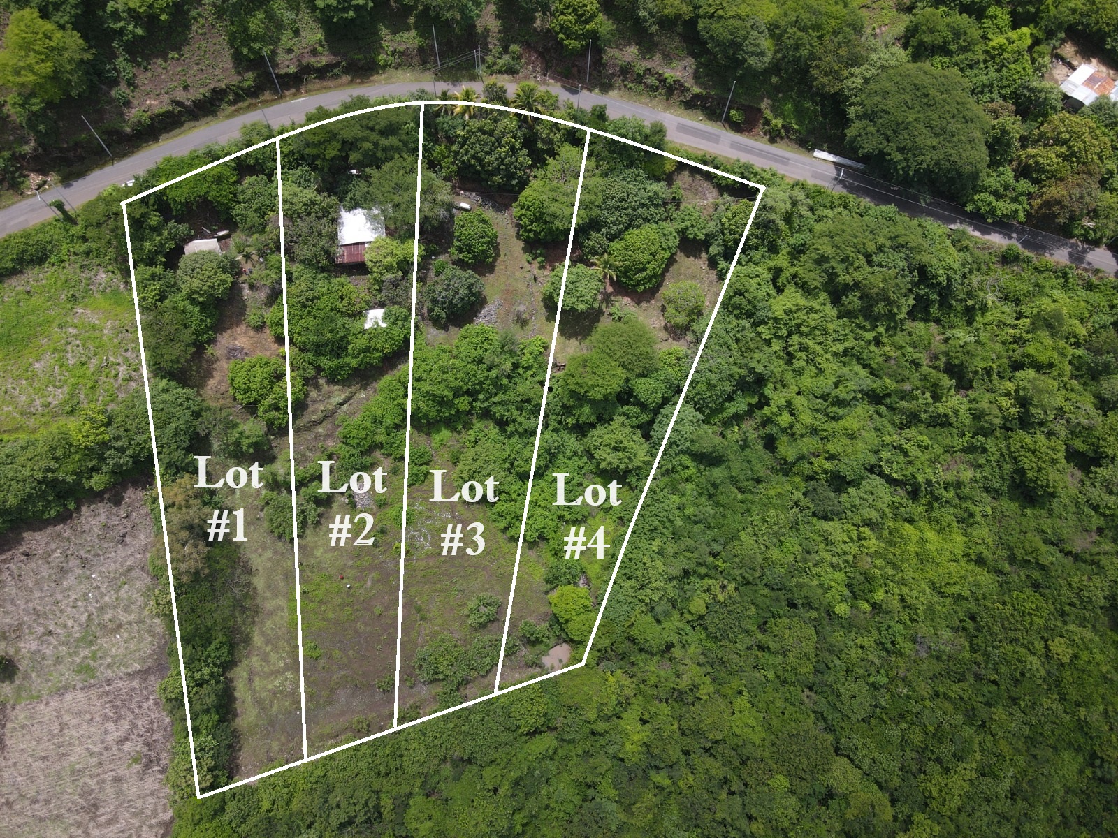 4 Oceanview Lots close to El Tunco